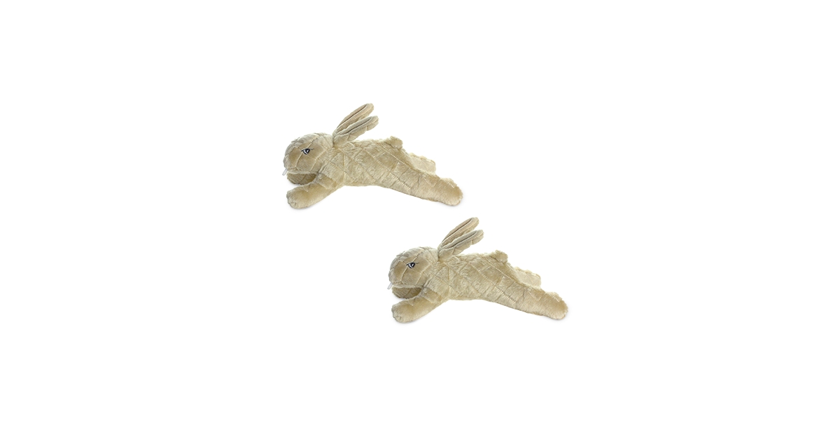 Nature Rabbit Brown, 2-Pack Dog Toys - Brown