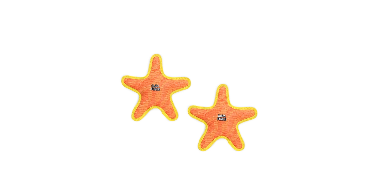 Star Tiger Orange-Yellow, 2-Pack Dog Toys - Bright Orange