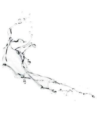 Eau des Jardins Fragrance, 3.3 oz