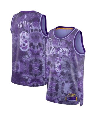 Men's and Women's LeBron James Purple Los Angeles Lakers Select Series Swingman Jersey
