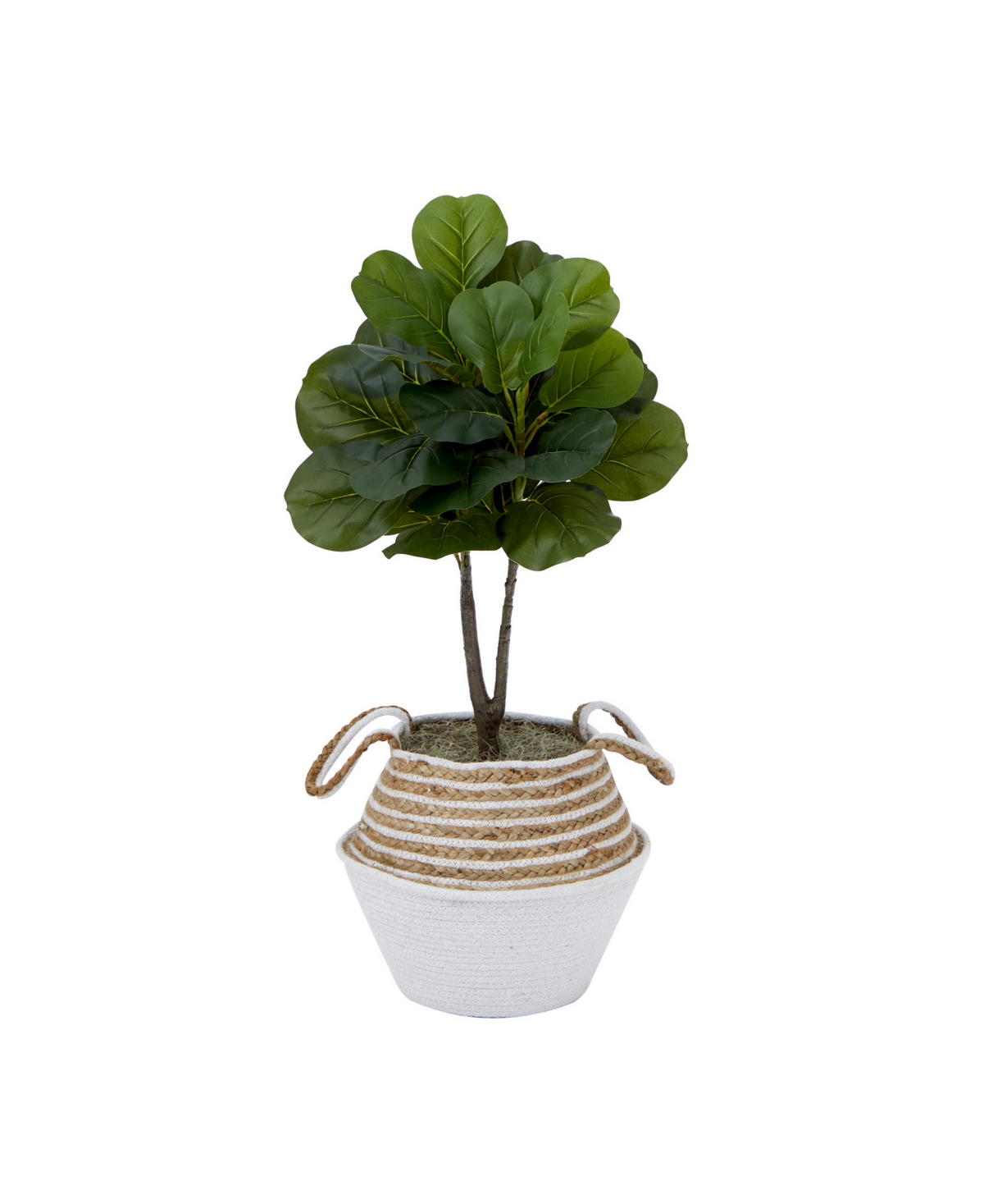Artificial Fiddle 3' Leaf Fig Tree with Handmade Cotton Jute Woven Basket Diy Kit - Cream