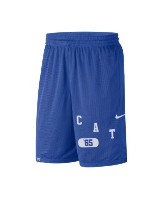 Men's Royal Kentucky Wildcats Wordmark Performance Shorts