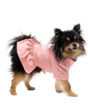 Juicy Couture Hooded Pet Juicy Bling Velour Tracksuit for Small Dogs and  Cats, XSmall/Small - Macy's