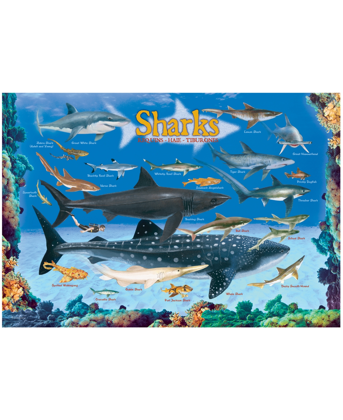 University Games Eurographics Incorporated Smart Kids Collection Sharks Jigsaw Puzzle, 100 Pieces In No Color