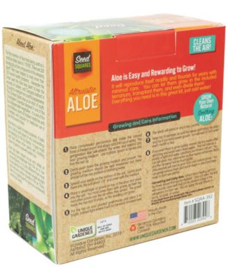 Unique Gardener Seed Squares Altruistic Aloe Plant Kit