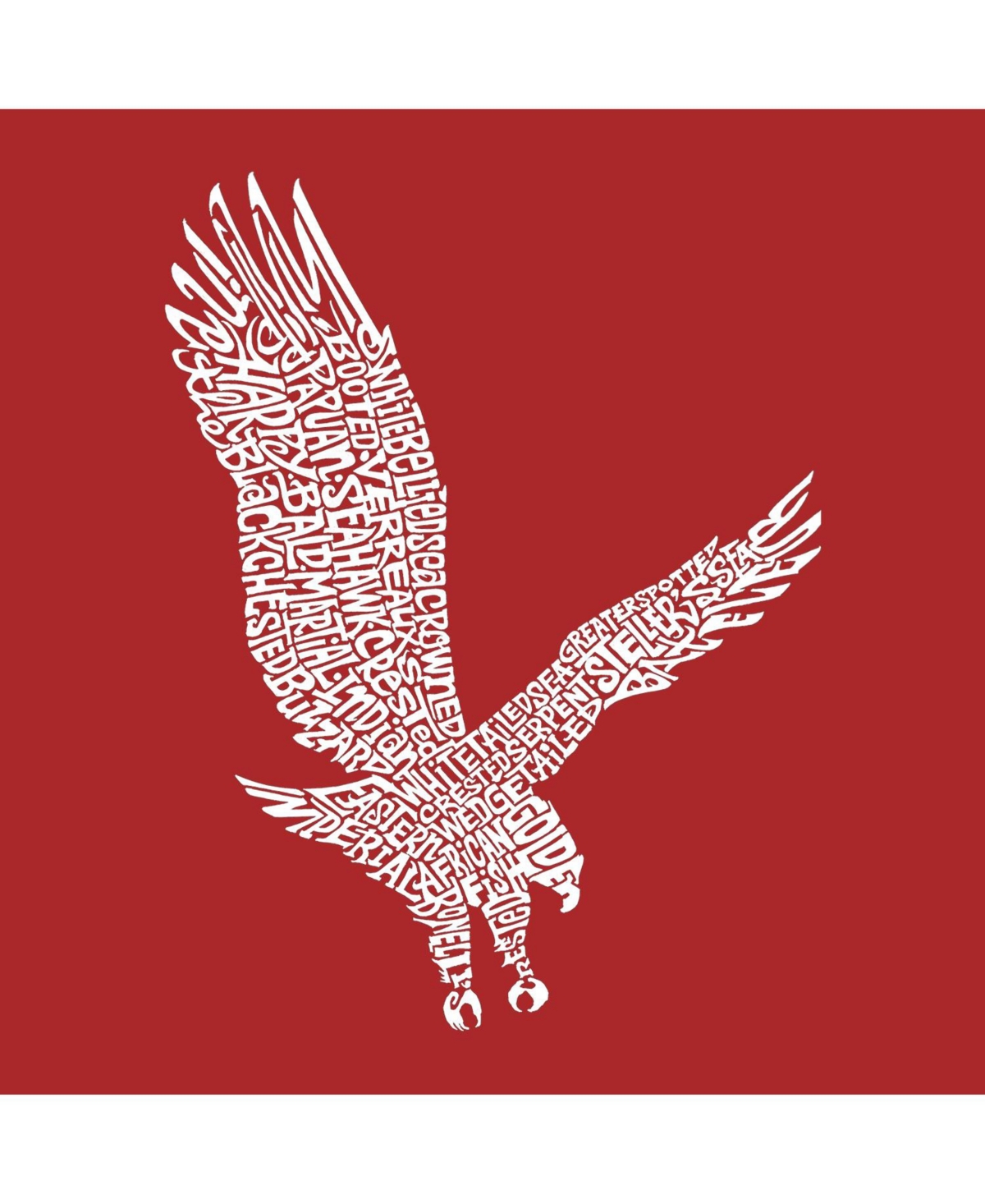 Big Boy's Word Art T-shirt - Eagle