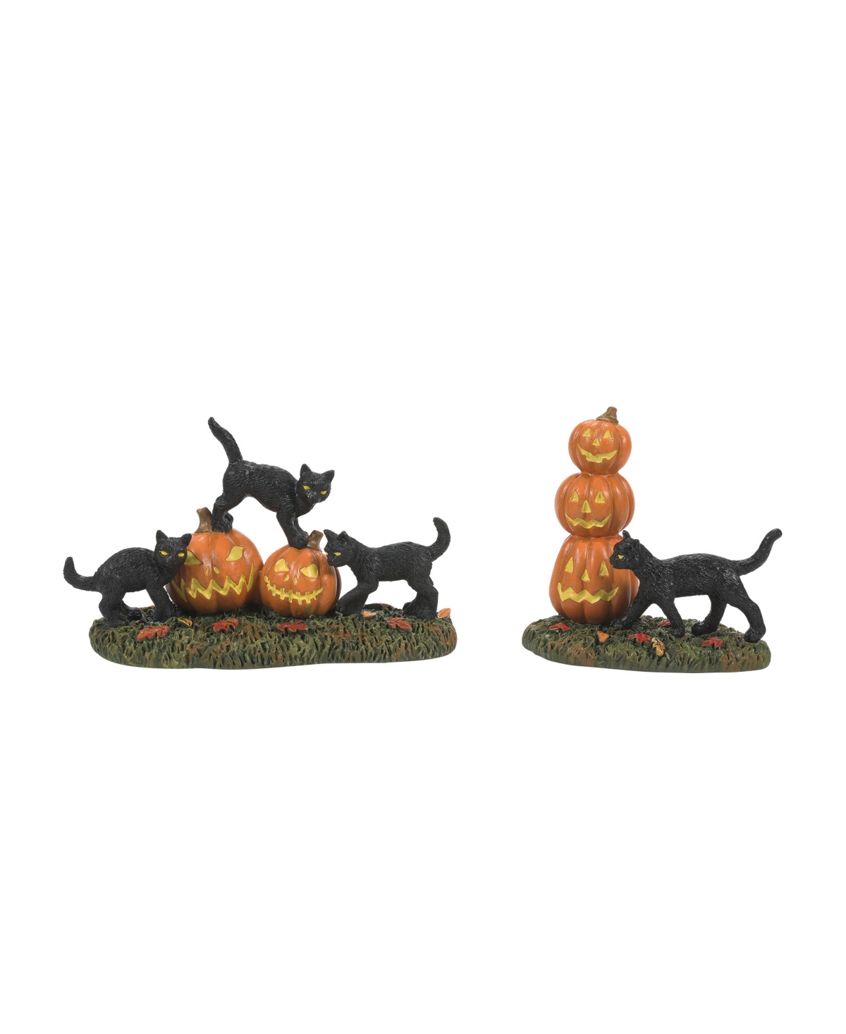 Scary Cats Pumpkins, Set of 2 - Multi