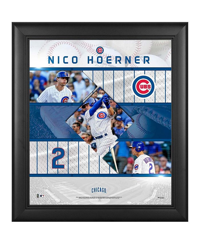 Chicago White Sox Fanatics Authentic Framed 15 x 17 Team