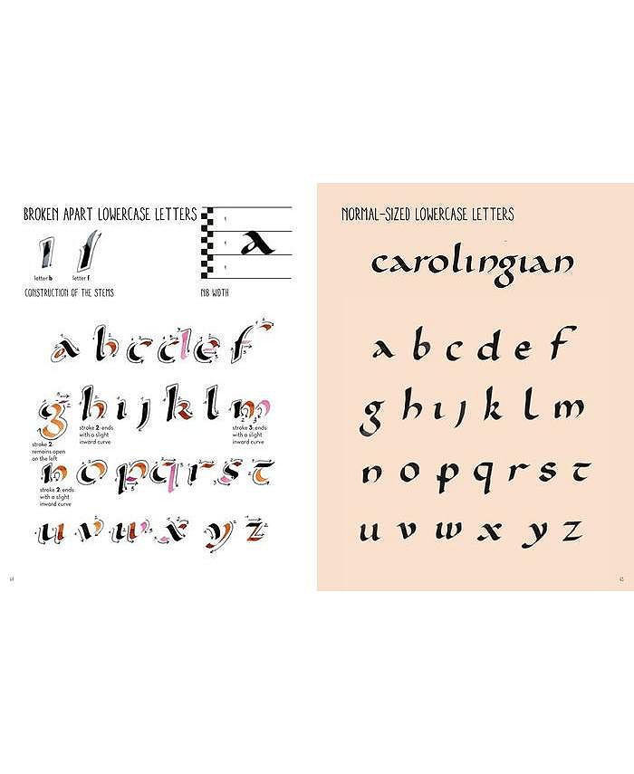 Barnes & Noble The Art of Hand Lettering Calligraphy Techniques and