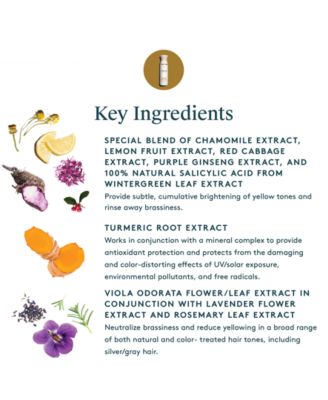 ColorKick De-Brassing Shampoo, 8 oz.