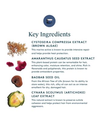 Restorative Treatment Mask, 1.7 oz.