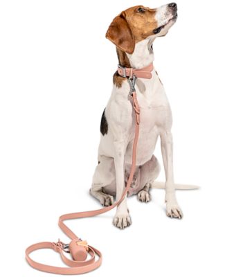 Wild One - Pink Dog Leash