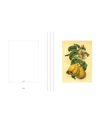 Instant Wall Art Vibrant Botanical Prints- 45 Ready-to-Frame Illustrations for Your Home D&eacute;cor by Adams Media Corporation