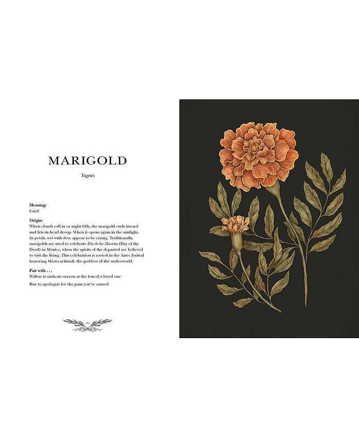 Barnes & Noble Floriography An Illustrated Guide to the Victorian Language of Flowers by