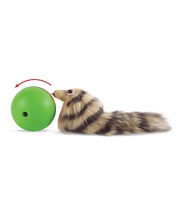 Weasel hot sale ball petsmart