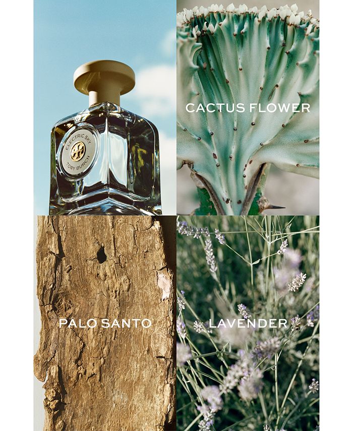 Tory burch shop lavender perfume macys