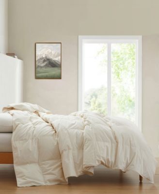 Lightweight 300 Thread Count Cotton Down Fiber Comforter, King