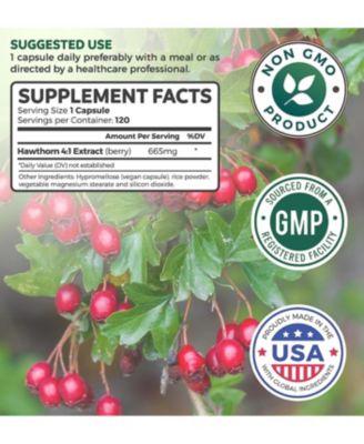Hawthorn Berry Capsules, Cardiovascular and Immune Health, 4:1 Extract, Health's Harmony, 120ct