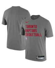 Nike Men's and Women's Fred VanVleet Red Toronto Raptors 2022/23 Swingman  Jersey - Icon Edition - Macy's