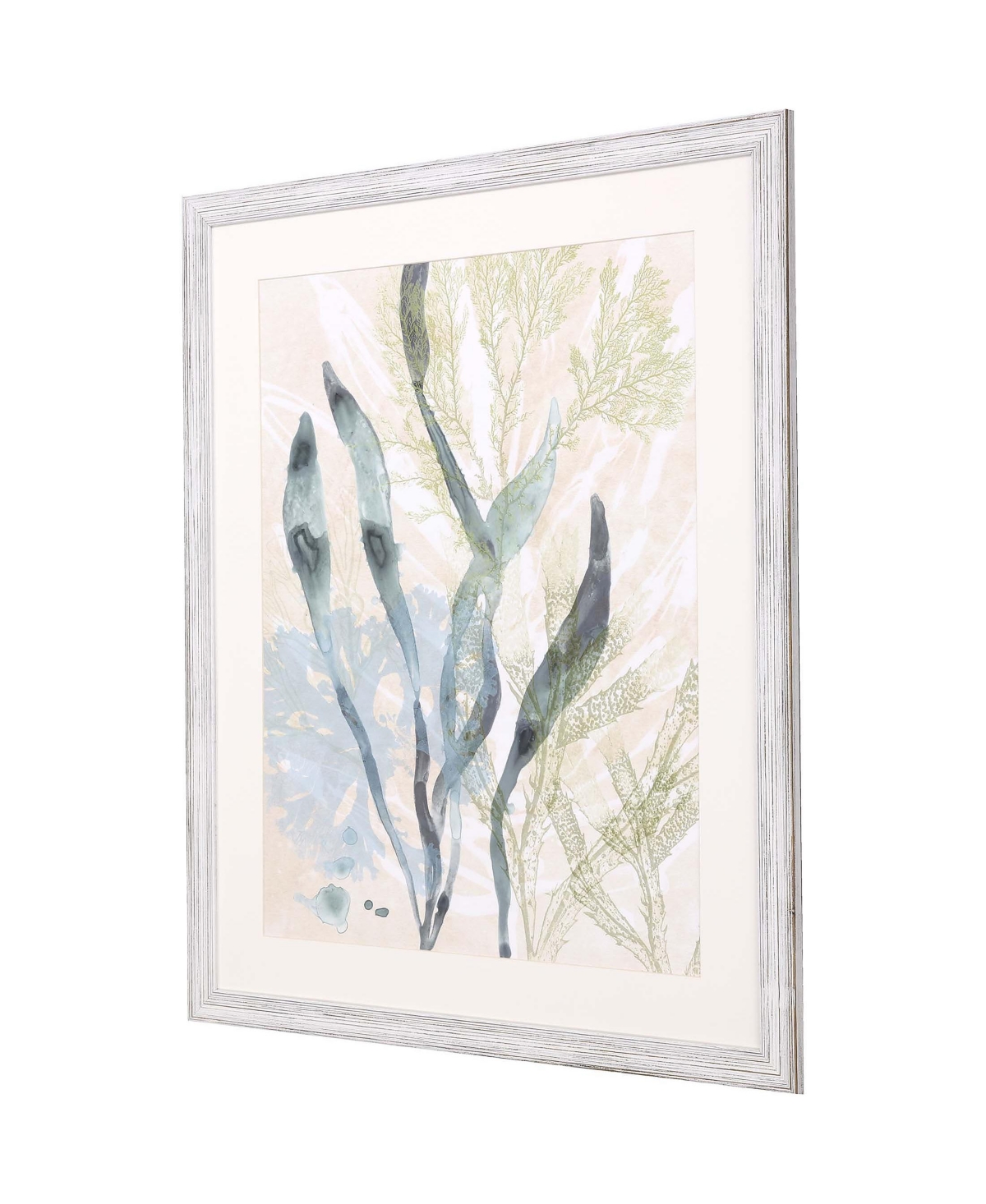 Paragon Picture Gallery Vintage-like Ocean Jewels Ii Framed Art In Blue