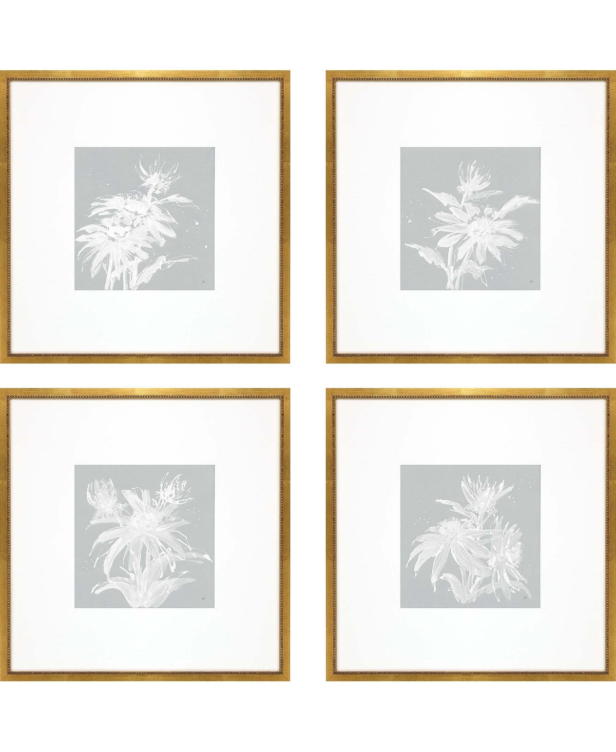 Paragon Picture Gallery Echinacea Framed Art, Set Of 4 In Blue