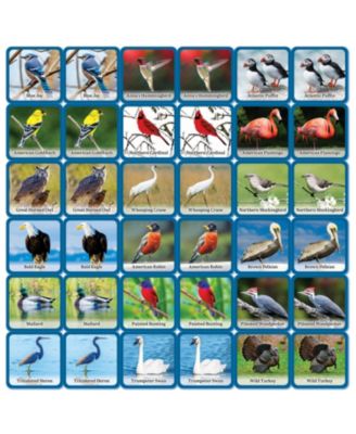 MasterPieces Licensed Audubon Matching Game for Kids and Families