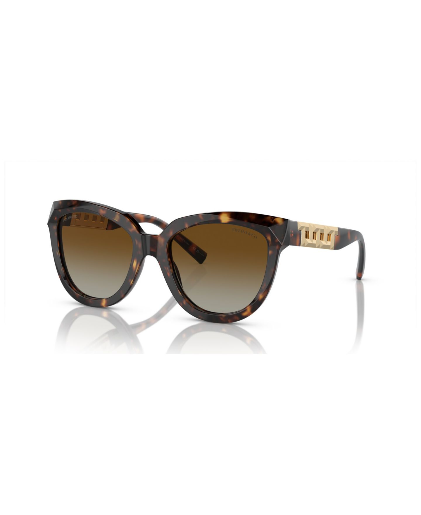 Женские солнцезащитные очки Tiffany & Co. Polarized Sunglasses, Gradient TF4215, цвет: Гавана — фото 1