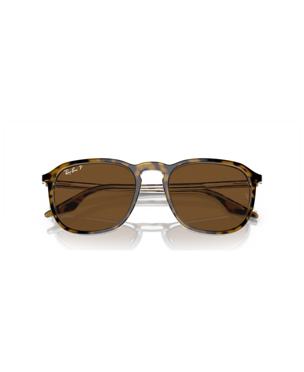 Ray Ban Rb2204 Sunglasses Havana On Transparent Frame Brown Lenses Polarized 51-20 In Havana