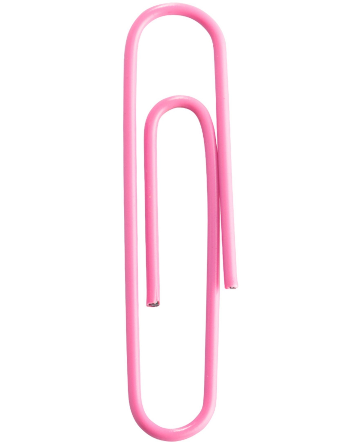Shop Jam Paper Colorful Jumbo Paper Clips In Pink