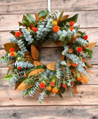 Fresh Real Magnolia, Safflower and Baby Blue Wreath