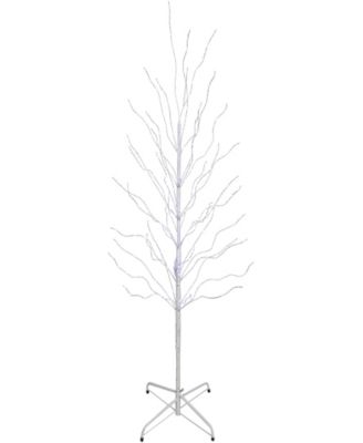 Northlight