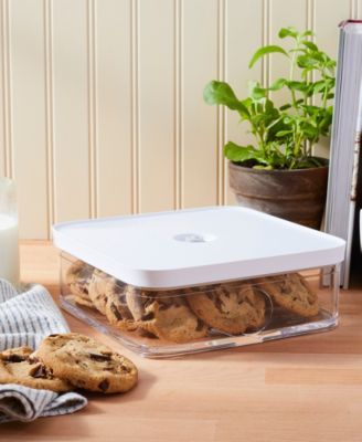 L Fresh Save Cube Container