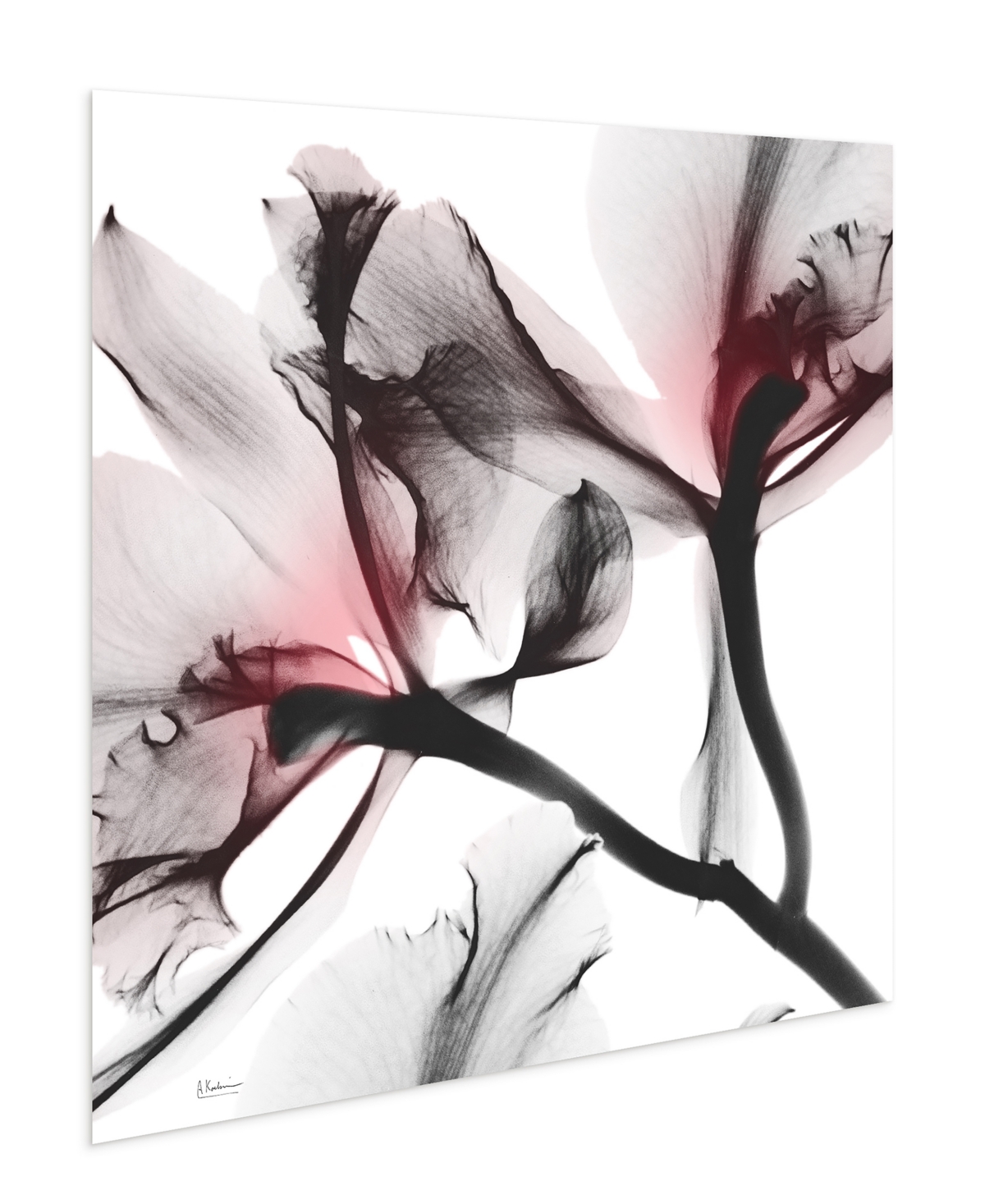 Shop Empire Art Direct "coral Luster 2" Frameless Free Floating Tempered Glass Panel Graphic Wall Art, 24" X 24" X 0.2" In Pink,gray