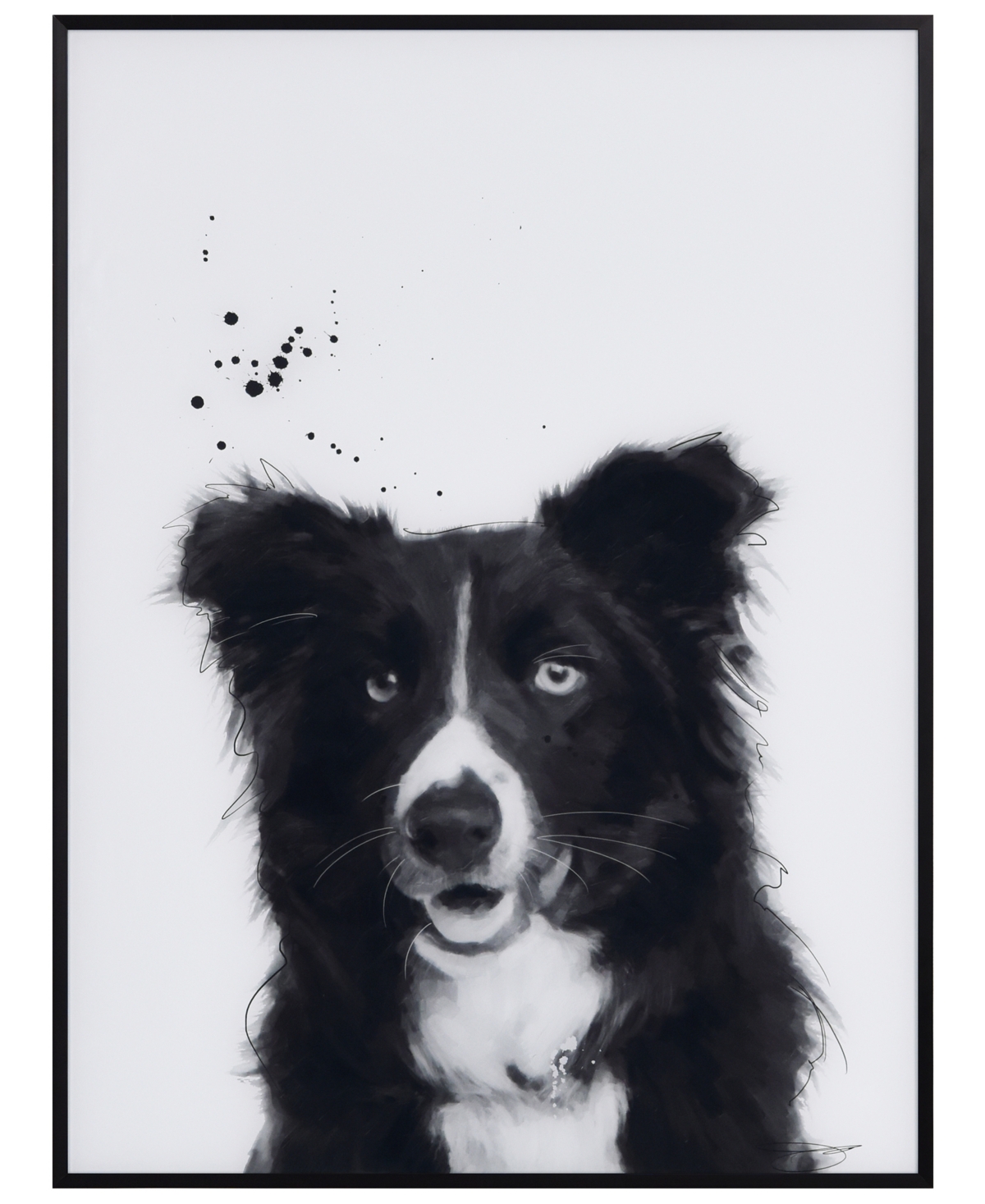 Empire Art Direct "border Collie" Pet Paintings On Printed Glass Encased With A Black Anodized Frame, 24" X 18" X 1" In Black And White