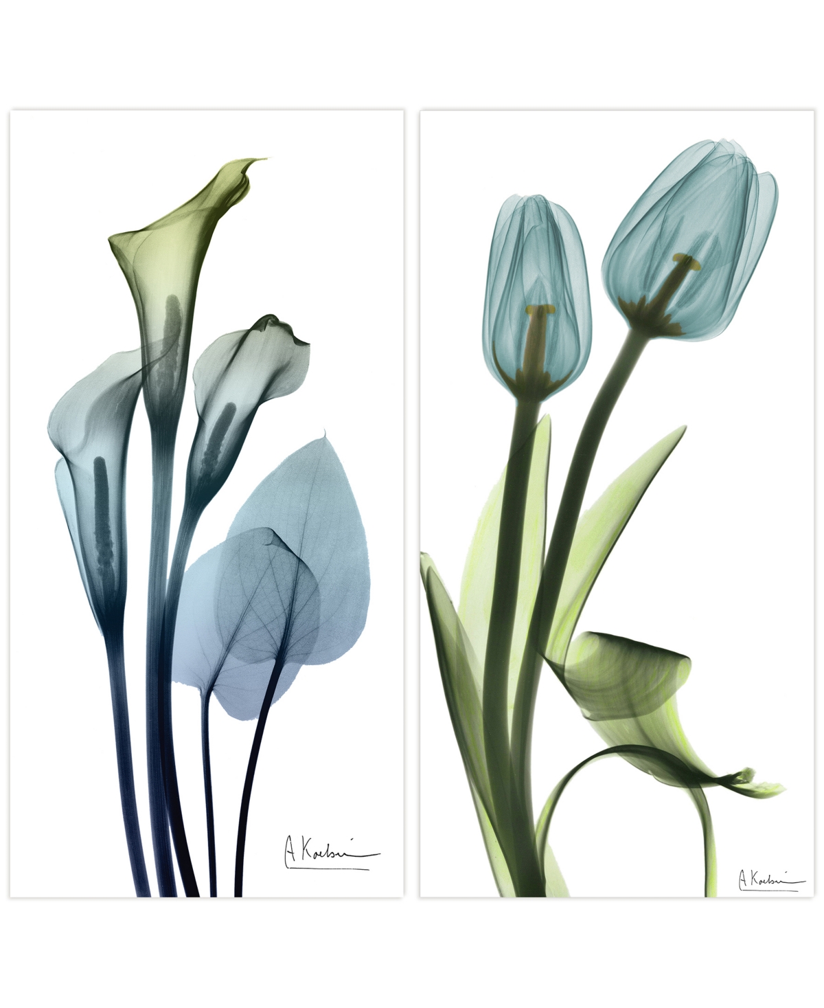 Empire Art Direct "calla Lily And Blue Tulips" Frameless Free Floating Tempered Glass Panel Graphic Wall Art Set Of 2, In Multi-color