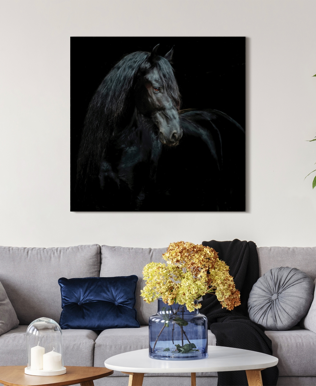 Shop Empire Art Direct "black Equine Attraction" Frameless Free Floating Tempered Glass Panel Graphic Wall Art, 38" X 38" X