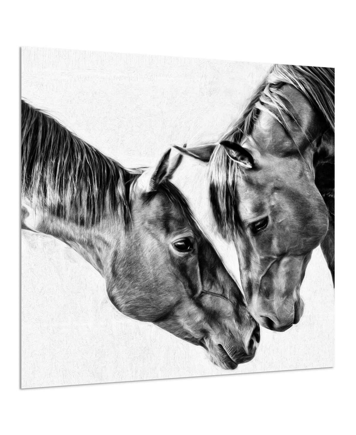 Shop Empire Art Direct "kindred Colts" Frameless Free Floating Tempered Glass Panel Graphic Wall Art, 38" X 38" X 0.2" In Gray