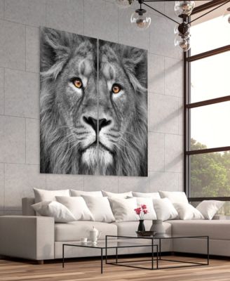 King Of The Jungle Ab Frameless Free Floating Tempered Glass Panel Graphic Wall Art, 72" x 36" x 0.2" Each