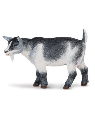 Pygmy Nanny Goat Safari Farm