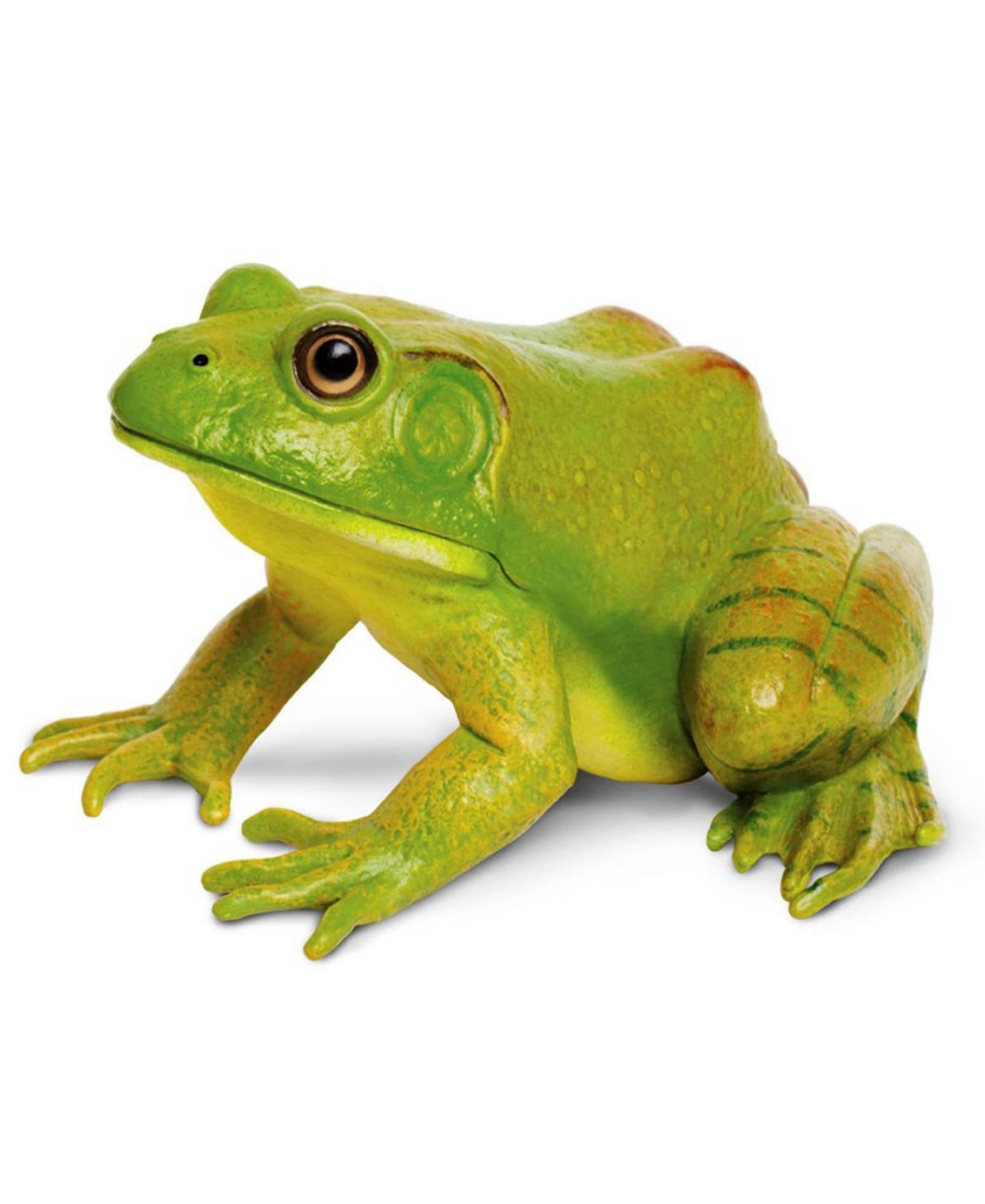 Детская фигурка Safari Ltd American Bullfrog Incredible Creatures Figure — фото 1