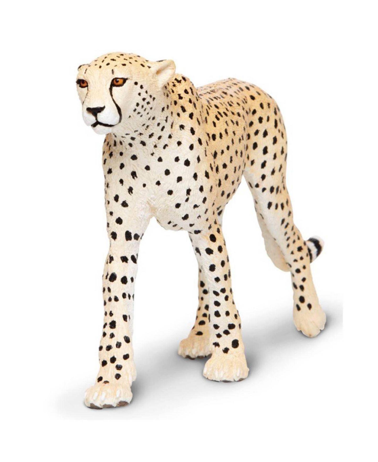 Детские фигурки Safari Ltd Cheetah Wildlife Wonders Figure — фото 1