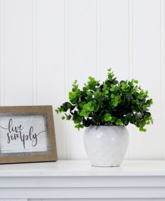 11" Artificial Boxwood Plant with Decorative Planter