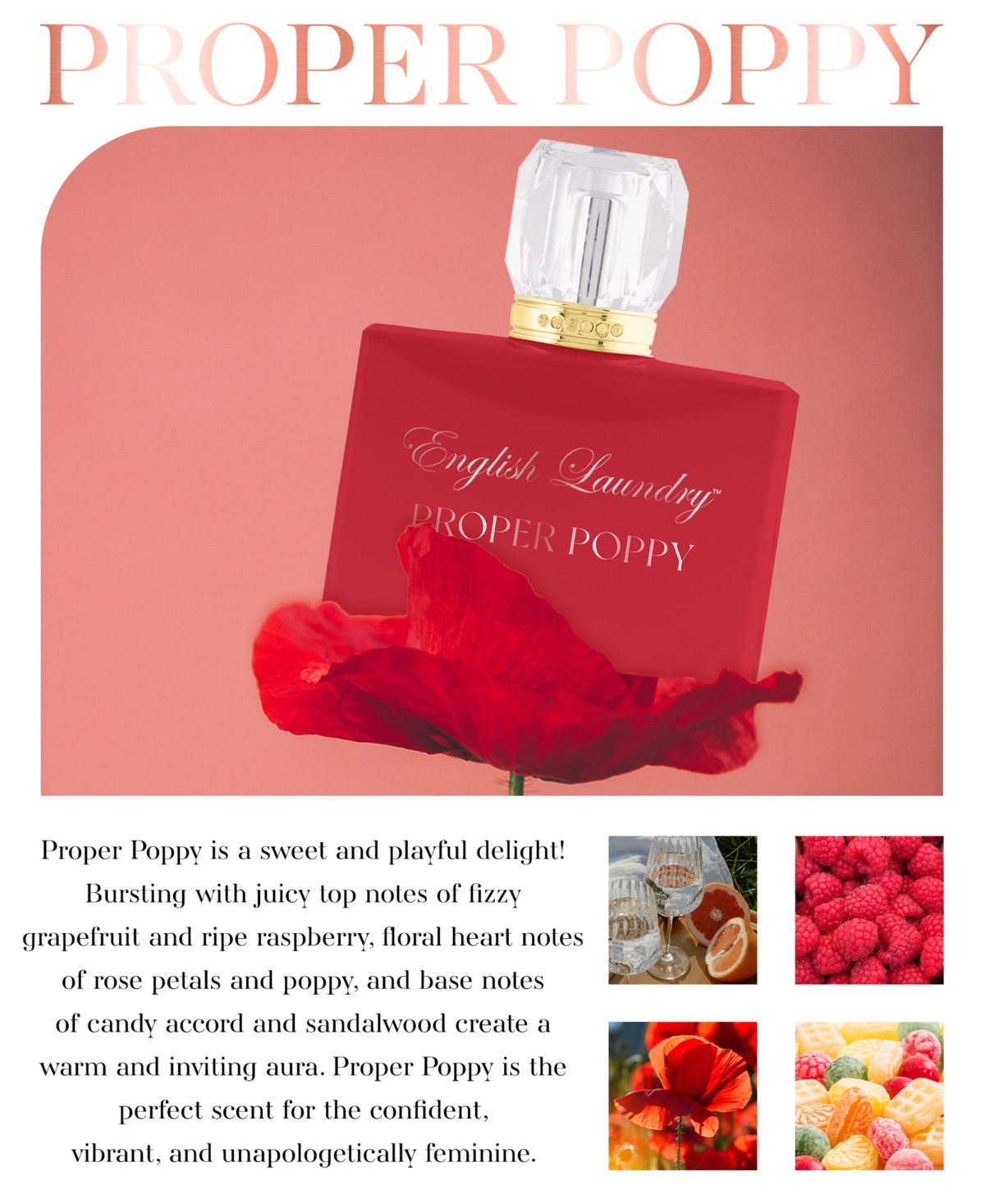Shop English Laundry 3-pc. Proper Poppy Eau De Parfum Gift Set In No Color