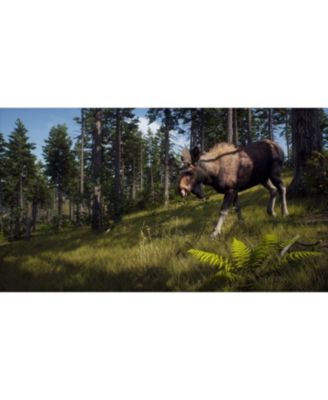 Way Of The Hunter - Xbox Series