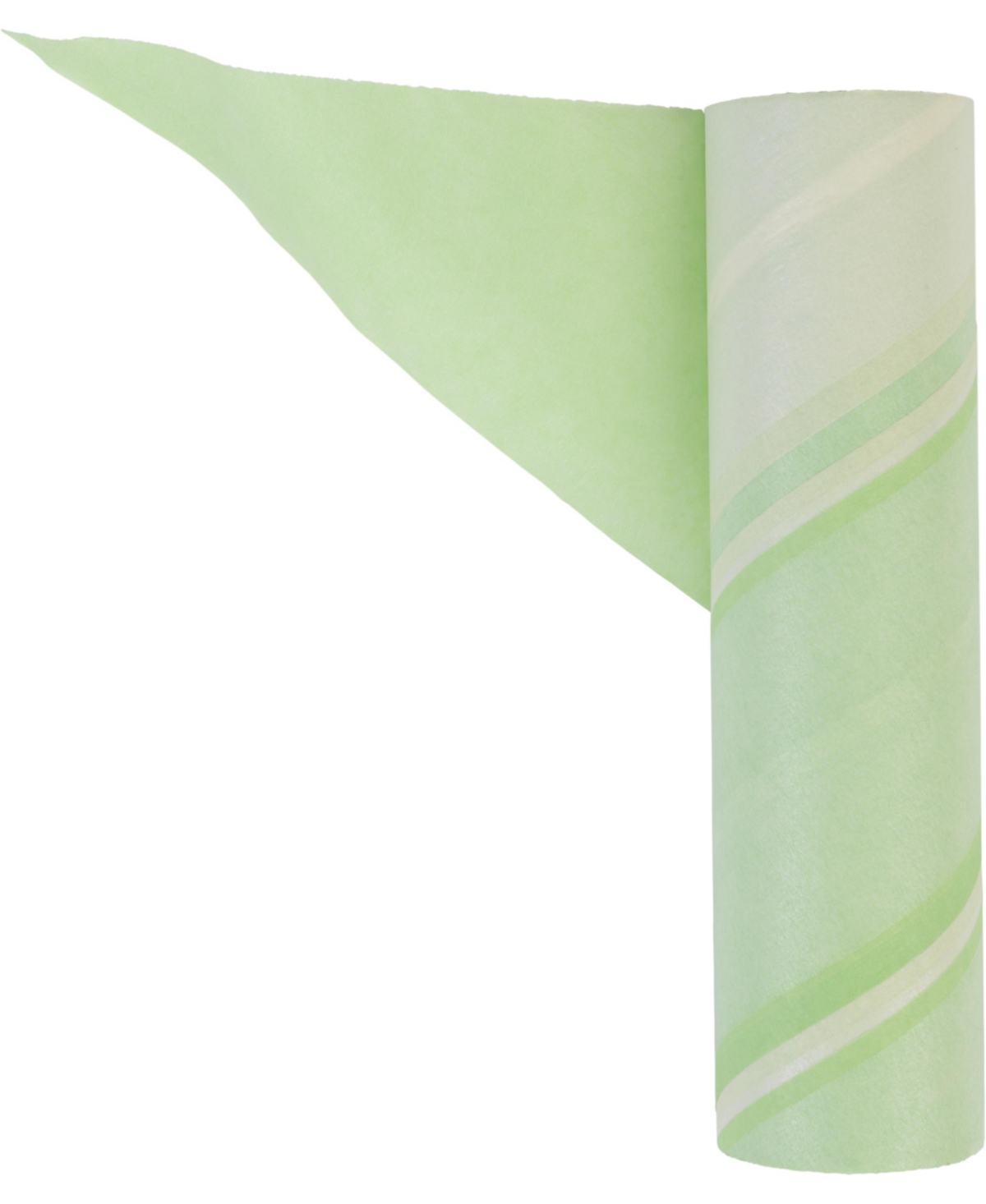 Butler Evercare All-purpose Refillable Mega Lint Roller Value Pack With 2 X 50 Sheet Refills In Green