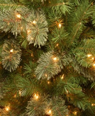 National Tree Company National Tree Tacoma Pine Slim With 500 Clear Lights