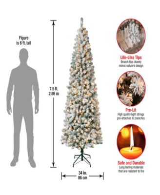 First Traditions 7.5' Acacia Medium Flocked Tree with Clear Lights