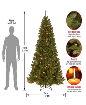 7.5' Power Connect North Valley Spruce Tree with Light Parade LED Lights