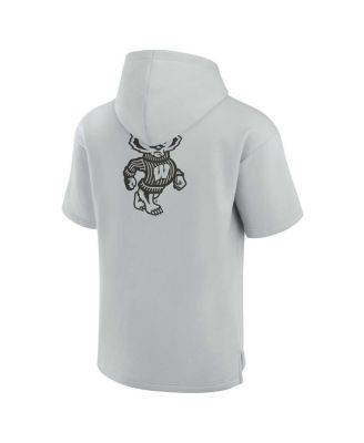 Men's and Women's Gray Wisconsin Badgers Super Soft Fleece Short Sleeve Pullover Hoodie