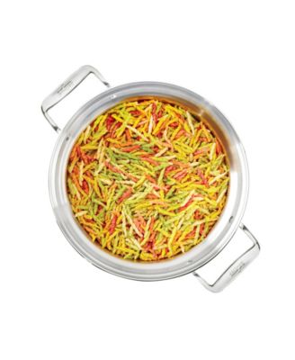 All-Clad 8-Qt. Stainless Steel Multi-Cooker